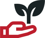 Environment Icon